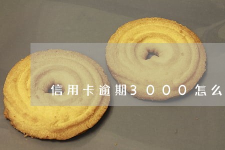 信用卡逾期3000怎么还款