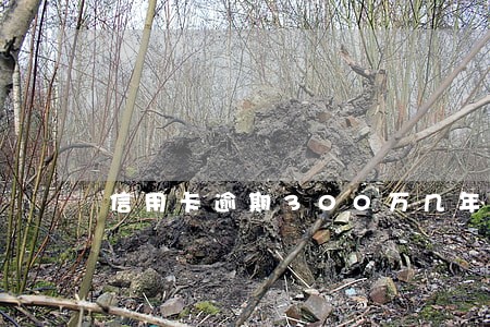 信用卡逾期300万几年