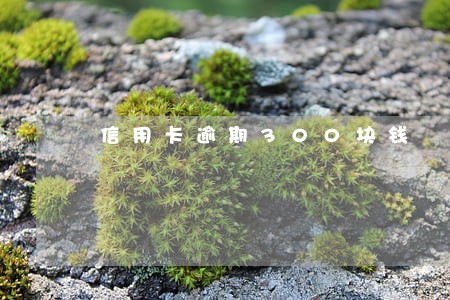 信用卡逾期300块钱 信用卡逾期300块钱