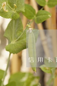 信用卡逾期30万两年没还钱 信用卡逾期30万两年没还钱