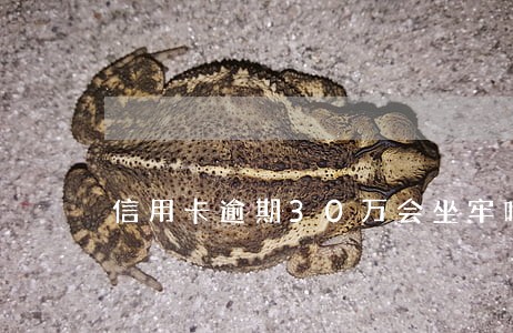 信用卡逾期30万会坐牢吗 信用卡逾期30万会坐牢吗
