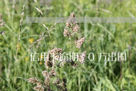 信用卡逾期30万出国
