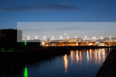 信用卡逾期30万利息怎么算