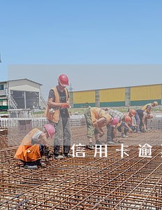 信用卡逾期30万怎么协商还 信用卡逾期30万怎么协商还