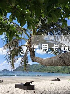 信用卡逾期30万怎样判刑 信用卡逾期30万怎样判刑