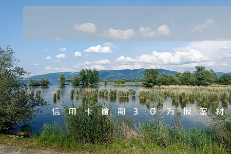 信用卡逾期30万报案材料签收
