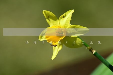 信用卡逾期30万立案 信用卡逾期30万立案