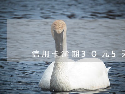 信用卡逾期30元5天