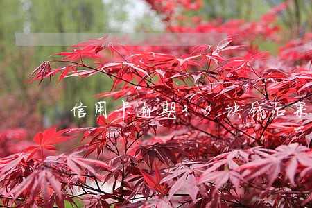 信用卡逾期30块钱后果 信用卡逾期30块钱后果