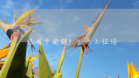 信用卡逾期30天上征信