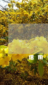 信用卡逾期30天以上0 信用卡逾期30天以上0