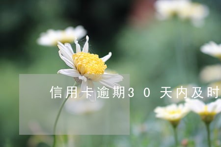 信用卡逾期30天内及时还款 信用卡逾期30天内及时还款