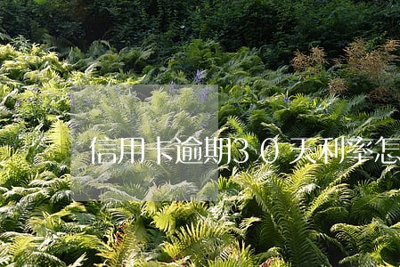 信用卡逾期30天利率怎么算 信用卡逾期30天利率怎么算