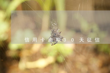 信用卡逾期30天征信 信用卡逾期30天征信