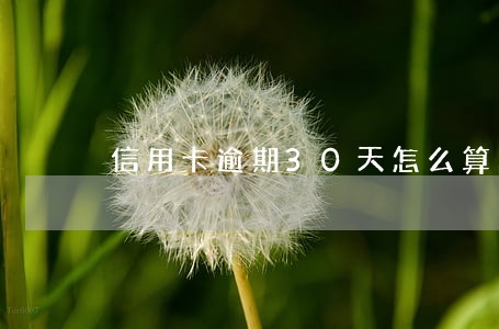 信用卡逾期30天怎么算的