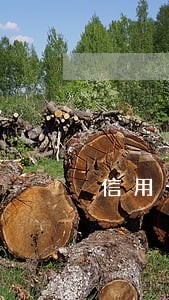 信用卡逾期30天有什么区别 信用卡逾期30天有什么区别