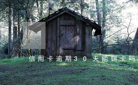 信用卡逾期30天能销卡吗