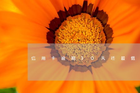 信用卡逾期30天还最低额度