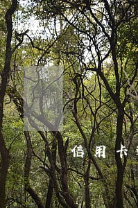 信用卡逾期30次了别慌 信用卡逾期30次了别慌