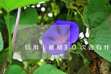 信用卡逾期30次会有什么影响