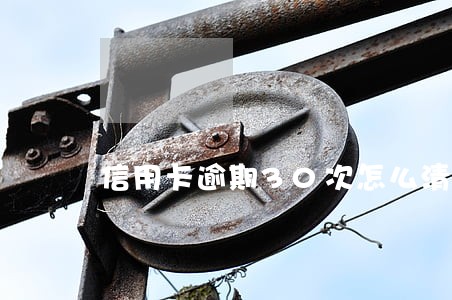 信用卡逾期30次怎么清除