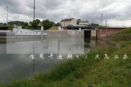 信用卡逾期31次怎么办 信用卡逾期31次怎么办