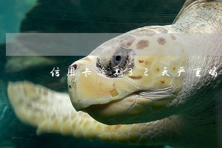 信用卡逾期32天严重吗 信用卡逾期32天严重吗
