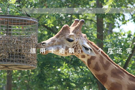 信用卡逾期34个月还完还能用吗 信用卡逾期34个月还完还能用吗