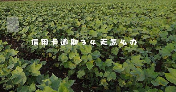 信用卡逾期34天怎么办 信用卡逾期34天怎么办