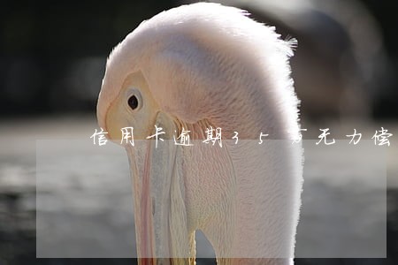 信用卡逾期35万无力偿还怎么办 信用卡逾期35万无力偿还怎么办