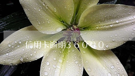 信用卡逾期36000 信用卡逾期36000