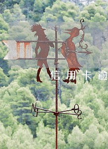 信用卡逾期3600会坐牢吗 信用卡逾期3600会坐牢吗