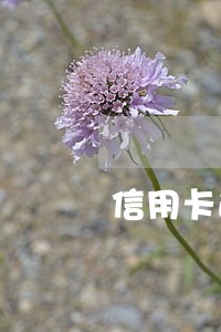 信用卡逾期3600已经报案