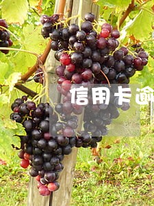 信用卡逾期3600还不上