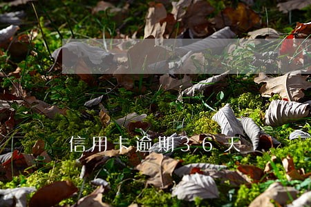 信用卡逾期36天