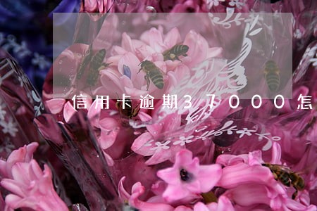 信用卡逾期37000怎么办