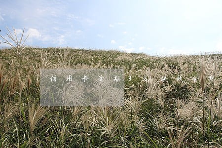 信用卡逾期38块钱会影响征信嘛 信用卡逾期38块钱会影响征信嘛