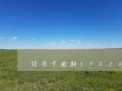 信用卡逾期39000 信用卡逾期39000