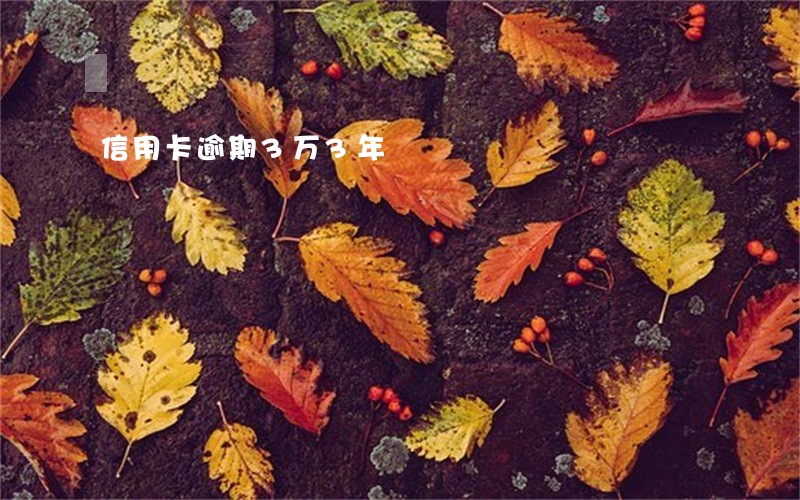 信用卡逾期3万3年 信用卡逾期3万3年