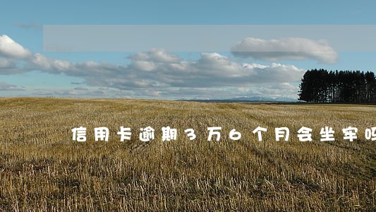 信用卡逾期3万6个月会坐牢吗 信用卡逾期3万6个月会坐牢吗