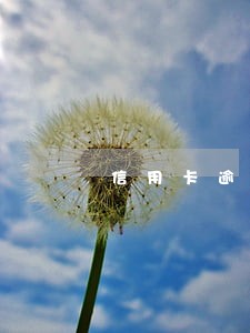 信用卡逾期3万以下