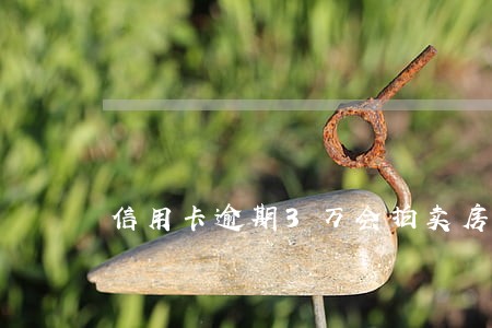 信用卡逾期3万会拍卖房产吗 信用卡逾期3万会拍卖房产吗