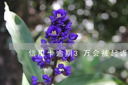 信用卡逾期3万会被起诉 信用卡逾期3万会被起诉