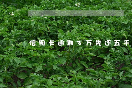 信用卡逾期3万先还五千