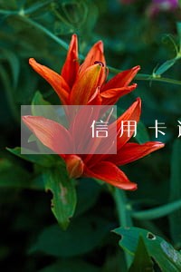 信用卡逾期3万变9万 信用卡逾期3万变9万