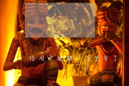 信用卡逾期3万坐牢了 信用卡逾期3万坐牢了