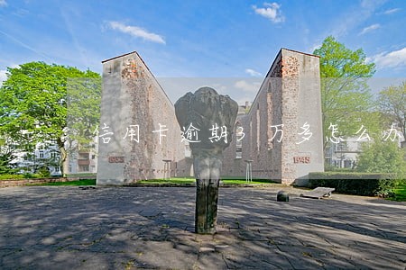 信用卡逾期3万多怎么办