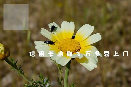 信用卡逾期3万多要上门 信用卡逾期3万多要上门