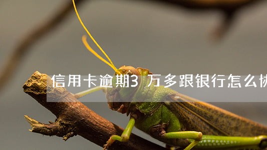 信用卡逾期3万多跟银行怎么协商 信用卡逾期3万多跟银行怎么协商