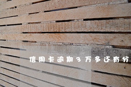 信用卡逾期3万多还有分期6万 信用卡逾期3万多还有分期6万